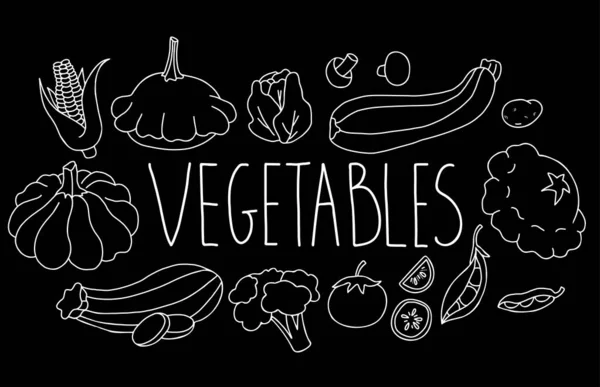 ベクトル健康的な食品野菜のセット カボチャとパティソン ズッキーニ キャベツ トマトとジャガイモ キノコとトウモロコシ エンドウ豆とカリフラワー 黒の背景に線型チョークの手描きを分離 — ストックベクタ