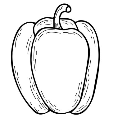 Sebze. Güzel olgun meyve - biber. Vektör çizimi. El çizimi karalama çizimi, tasarım ve dekorasyon için taslak, dekor