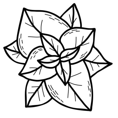 Güzel nane yaprağı. Bitki kokulu tıbbi ve baharatlı bitki. Vektör çizimi. Çizim biçimi ile doğrusal el çizimi, tasarım, dekor ve dekorasyon için özet