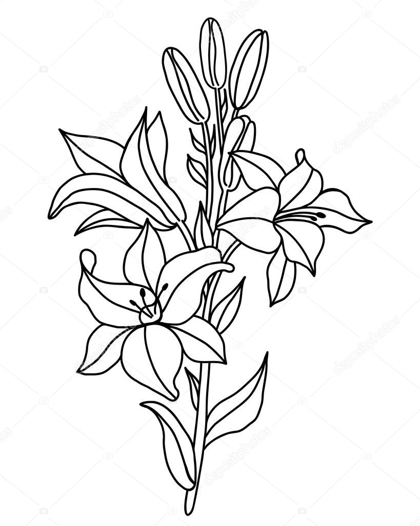 Black outline of lily flowers. Branch bouquet with flowers and buds. Vector illustration. isolated on white background. Ornamental plant for design, decor, decoration and printing.