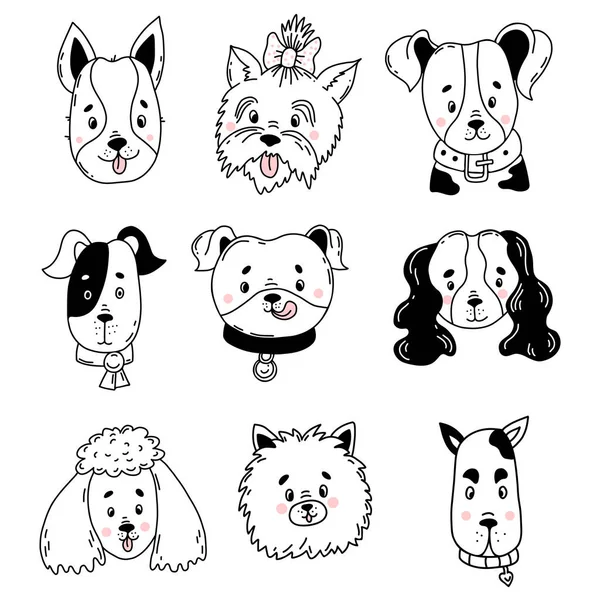 Collection of cute dogs. pets of different breeds Yorkshire Terrier, Spitz, Boxer and Spaniel, Poodle and Great Dane, Mongrel and Pinscher. Vector illustration. Isolated line drawings in doodle style — Stock Vector