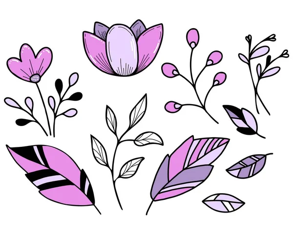 Botanische set. Bloemen en bladeren, lotus en plantentak. Vector illustratie. Geïsoleerde handtekeningen op witte achtergrond. — Stockvector