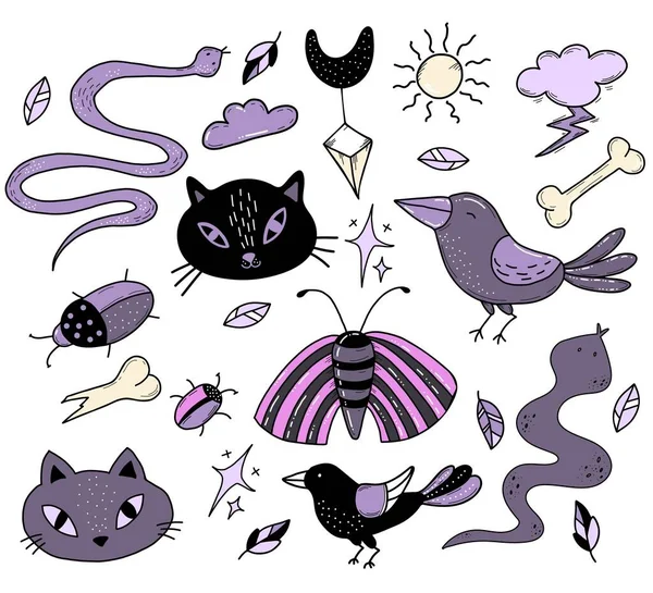 Set of magical amulets, symbols and witchcraft beasts. Black cat and snake, crow and beetle, moth and butterfly. Vector illustration. Isolated elements. — Stock Vector