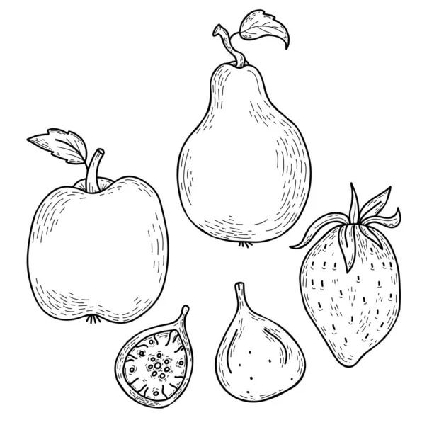 Ensemble Fruits Gribouiller Baies Dessinés Main Pomme Poire Fraise Figue — Image vectorielle