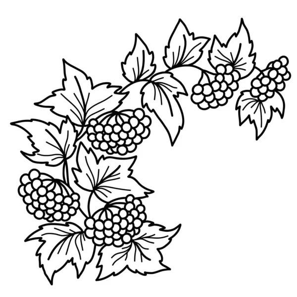 Simbolo ucraino. Ramo Viburnum. Ramo vegetale, grappoli, bacche e foglie. Illustrazione vettoriale. Disegnato a mano in linea stile doodle. Per la progettazione e la decorazione di tema botanico o ucraino. — Vettoriale Stock