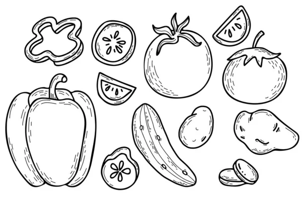 Conjunto Vetor Desenhado Mão Legumes Batatas Pimentas Pepino Tomates Legumes — Vetor de Stock