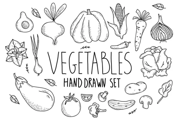Set Von Gesundem Gemüse Handgezeichnete Vektorzeichnungen Kürbis Und Avocado Gurken — Stockvektor
