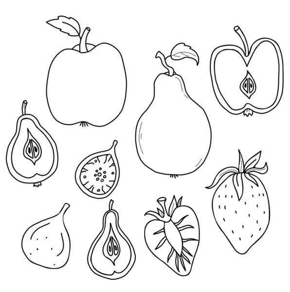 一大堆水果和浆果 整个水果切成两半 草莓和无花果树 苹果和梨子与根和叶子 线形手绘图案的矢量图解 用于设计 装饰和装饰 — 图库矢量图片