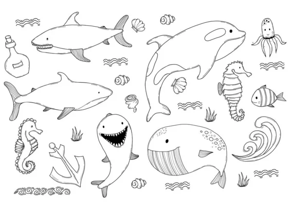 Unterwasserwelt. Netter Großwal und Hai, Killerwal und Delfin, Seepferdchen und Fische, Tintenfisch und Muscheln. Vektor-Umriss-Illustration, Stil der Handzeichnung linearer Doodles für Design — Stockvektor