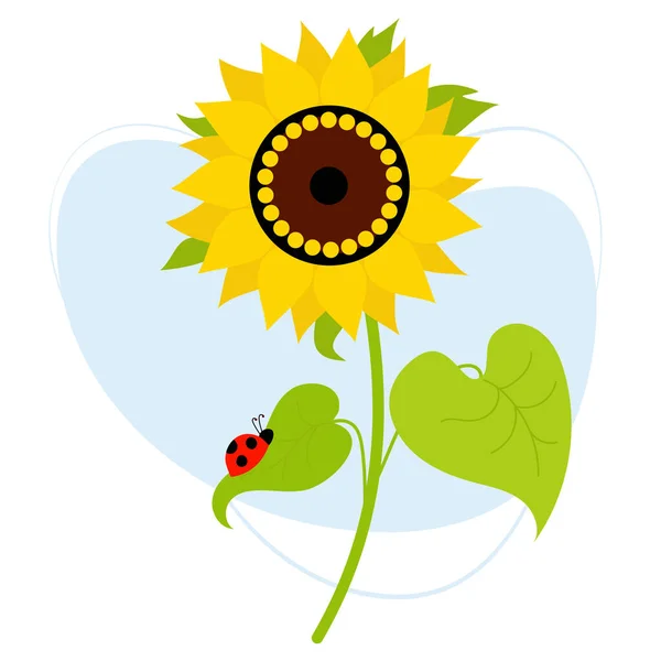 Mooie Bloeiende Zonnebloem Met Lieveheersbeestje Blad Vector Illustratie Boerderij Plant — Stockvector