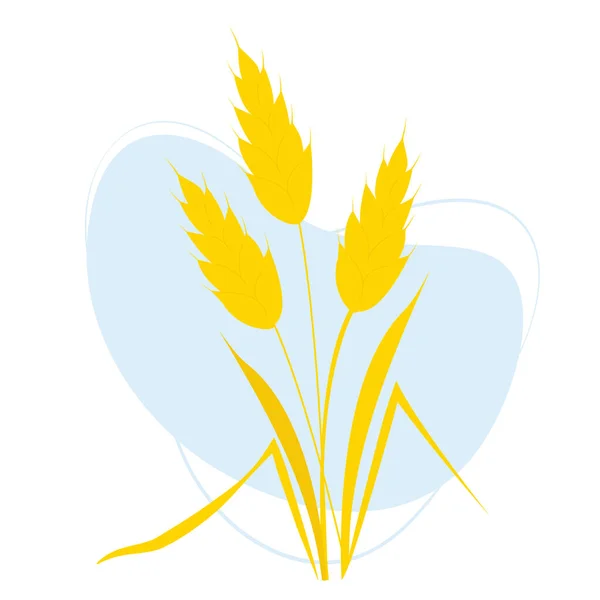 Beautiful Bouquet Yellow Spikelets Wheat Vector Illustration — Stock Vector