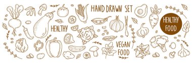 Büyük bir sebze ve meyve seti, ve baharatlı bitkiler, kök sebzeler ve bitki ve vejetaryen yiyecekler doğrusal çizim tarzında. Pancar, avokado ve mısır, nane ve biber. İzole elementler