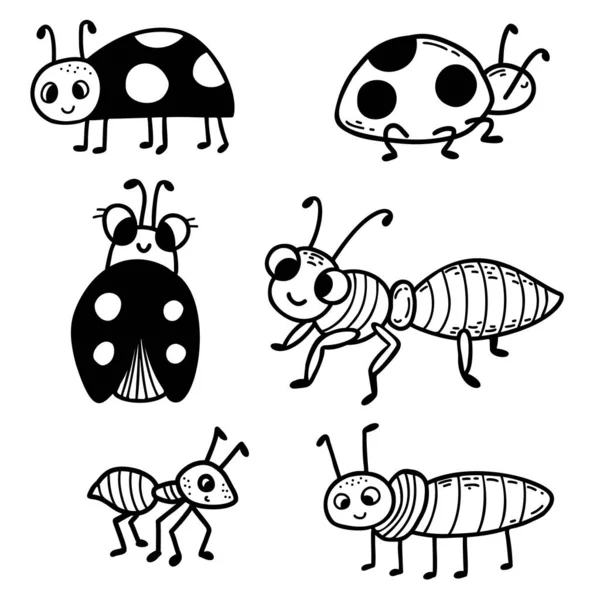 Collection Insectes Mignons Coccinelle Fourmis Doodle Linéaire Dessiné Main Illustration — Image vectorielle