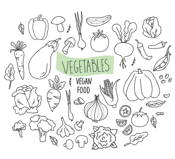 Big Set Vector Vegetables Root Vegetables Vegetable Food Linear Hand — Stockvector