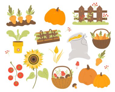 Vector set agriculture. Farming and harvest, bed with carrots, greenhouse with plants, wicker basket with vegetables, sunflower and wooden fence, sack of grain, tomatoes, pumpkin and mushrooms
