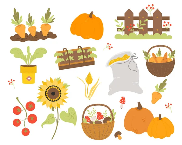 Vektör tarımı ayarladı. Çiftçilik ve hasat, havuçla yatak, bitkilerle sera, sebzelerle hasır sepet, ayçiçeği ve ahşap çit, tahıl çuvalı, domates, balkabağı ve mantar