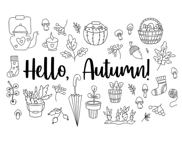 Hello Autumn Set Hand Doodles Wicker Basket Mushrooms Picking Vegetables — Stockvektor