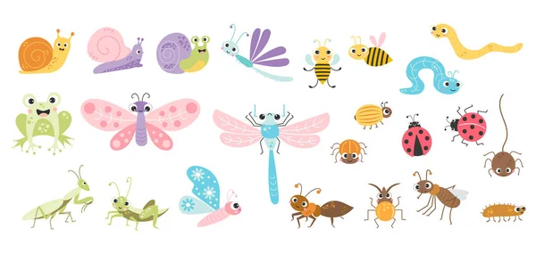 Big Collection Cute Insects Funny Decorative Characters Snail Beetle Dragonfly — Stockvector