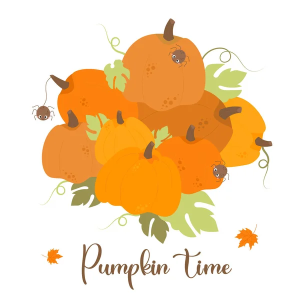 Autumn Poster Big Harvest Orange Pumpkins Cute Spiders Vector Illustration — Stockvektor
