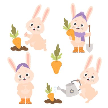 Collection cartoon funny rabbits and carrots. Cute bunny farmer waters carrots from watering can in garden bed, harvests and stands with shovel. Vector illustration for postcards, design and decor