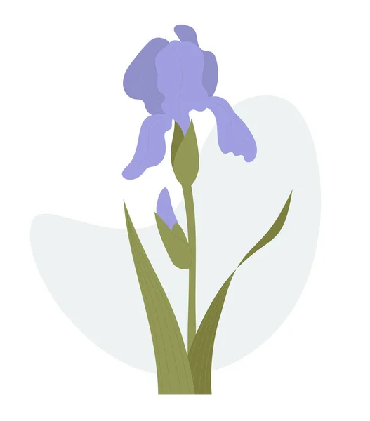 Fiore Iris Illustrazione Vettoriale Bellissimo Fiore Viola Giardino — Vettoriale Stock