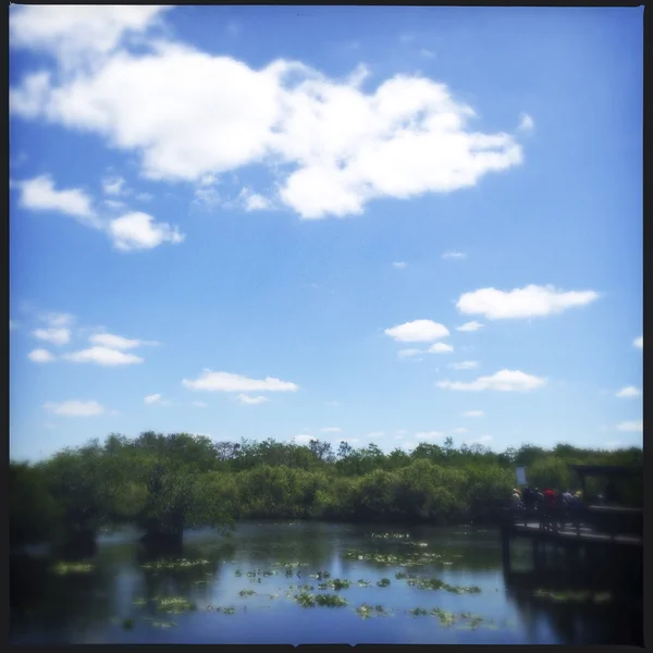 Park Narodowy Everglades na Florydzie, USA — Zdjęcie stockowe