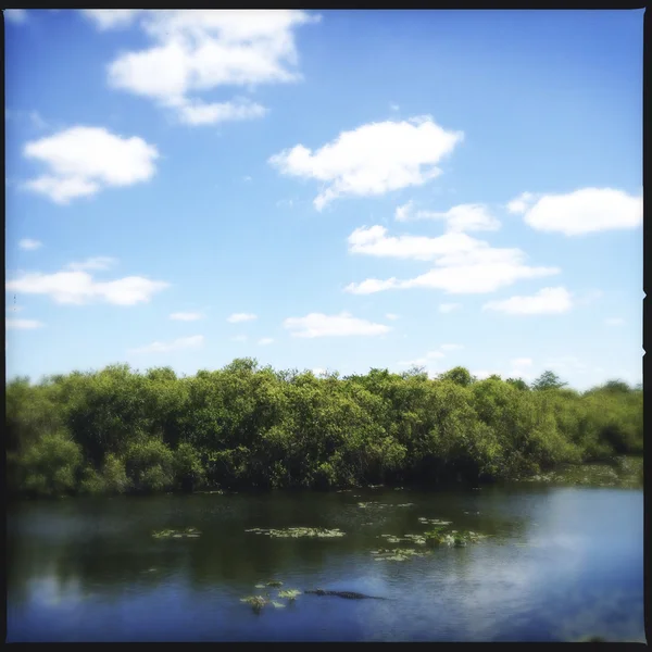 Everglades National Park na Flórida, EUA — Fotografia de Stock