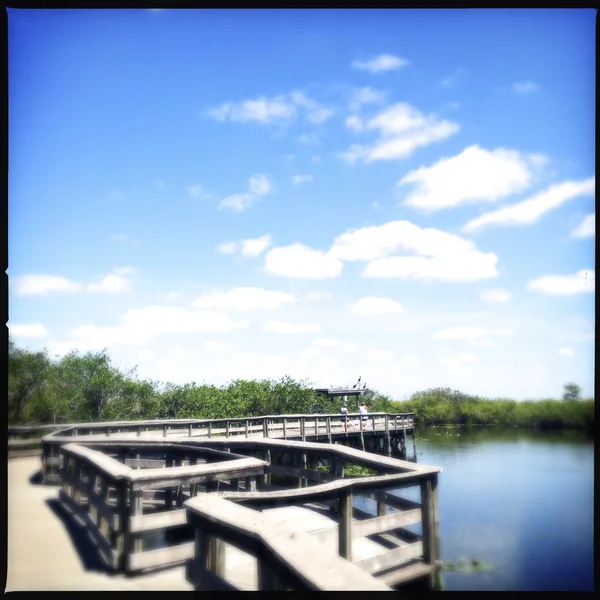 Everglades National Park na Flórida, EUA — Fotografia de Stock