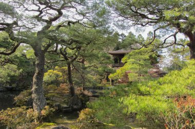 güzel Japon Bahçe