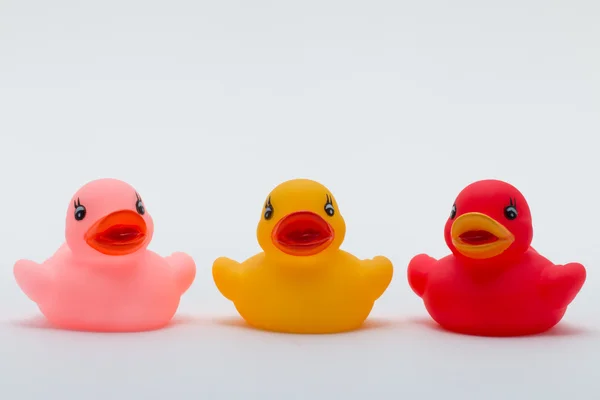 Three Rubber Ducks in Different Colors — Stock Photo, Image