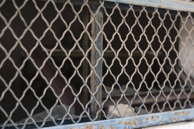 Terk edilmiş eski binada Dusty Window Izgara Çiti.