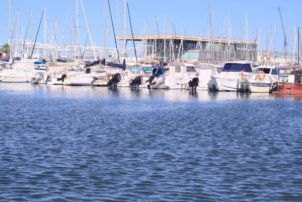 デニア、アリカンテ、スペイン。2021年5月-高価なボートやヨットのドック風景ビューを連続して表示します。地中海港のイラスト編集写真 — ストック写真