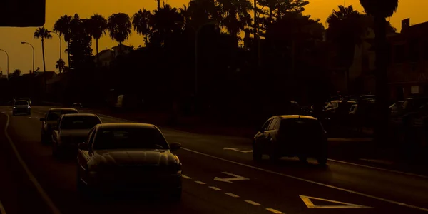 Misterious Road Full Unrecognized Cars Orange Black Monochrome Palm Tree — Fotografia de Stock