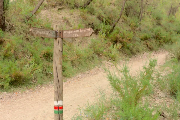 Alcoi per pista forestal sign close to foot path around Font Roja. Beautiful countryside to hike in Alcoy, Alicante, Spain. Mountain tourism concept. Copy space. High quality photo