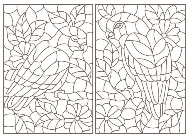 Papağan ve çiçekli vitray çizimleri, beyaz arka planda koyu renk çizgiler.