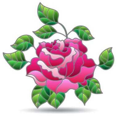 Parlak bir gül, beyaz bir arka planda izole edilmiş bir çiçek ile boyalı cam pencere tarzında bir illüstrasyon