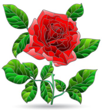 Parlak bir gül, beyaz bir arka planda izole edilmiş bir çiçek ile boyalı cam pencere tarzında bir illüstrasyon