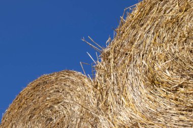 Yazın saman güneşli bir günde