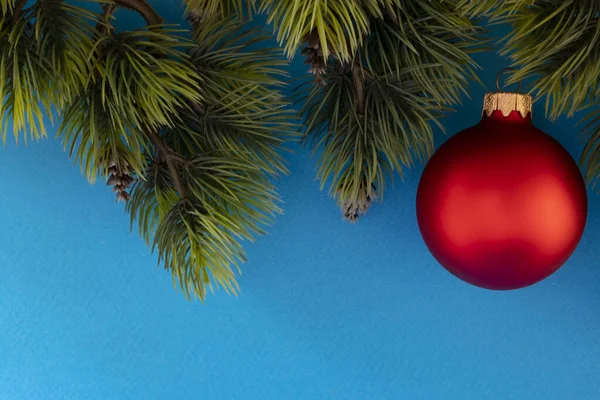 크리스마스 새해인 2022 크리스마스 소나무 원추체 새해붉은 공으로 빛나는 — 스톡 사진