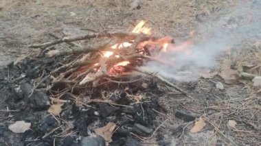 Arkadaşların elleri mangalda marşmelov kızartıyorlar. İnsanlar küçük bir ateşte marşmelov kızartıyorlar, tatilin tadını çıkarıyorlar. Lezzetli ve tatlı şekerlemeler şenlik ateşinin üzerinde..