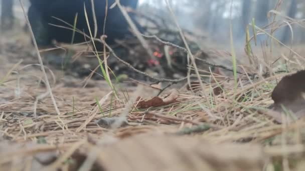 Małe Ognisko Lesie Jesienią — Wideo stockowe