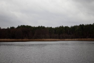 Sakin bir sonbahar gününde, nehir kenarındaki sessiz bir orman..