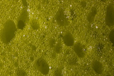 Gözenekli arka planı olan sarı sünger. Süngerin sarı renkli çekimleri stüdyoda. Gözenekli sarı arkaplan.