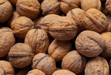 Ceviz kabuğu (resmi doldur). Taze cevizlerin geçmişi. Ceviz kabuklu cevizlerin tam ekran görüntüsü.