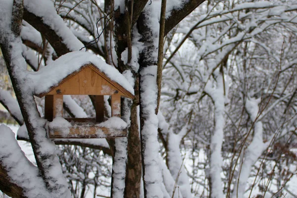 Holzvogelhaus Für Vögel Die Mit Schnee Ästen Bedeckt Sind Winter — Stockfoto