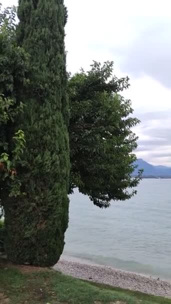 山の景色 ガルダ湖の波 イタリア 夏休みの間 ガルダの港でリラックスしてください 湖の海岸線と青い山の景色の美しさ — ストック動画