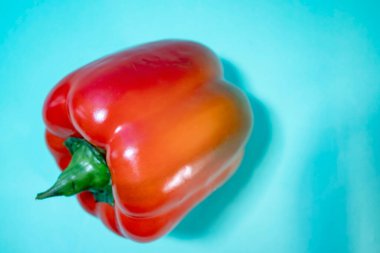 Tebrik ederim. Oyuncak Ayı Mavi 'de. Gülümseyen Sarı Ayı Masanın Arkaplanında, Yakın plan, Üst Aşağı Görünüm. 