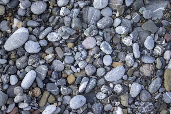 Kleine Steinstruktur Für Den Hintergrund Hochwertiges Foto Felsiger Strand Kieselsteine — Stockfoto