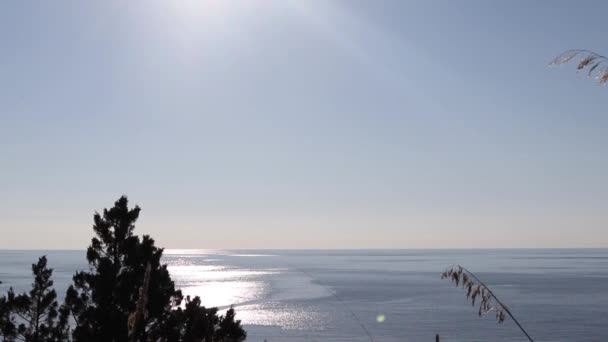 山と熱帯のビーチ スカレアの街の近くにイタリアの島 海と島の空中ビュー 上から見たターコイズブルーの水の背景 夏の海 旅行ビデオ — ストック動画