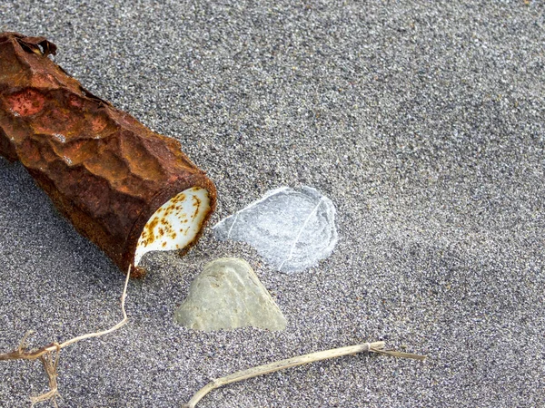 Металева Банка Пляжі Екологічна Проблема Світі Утилізація Відходів Екологів — стокове фото